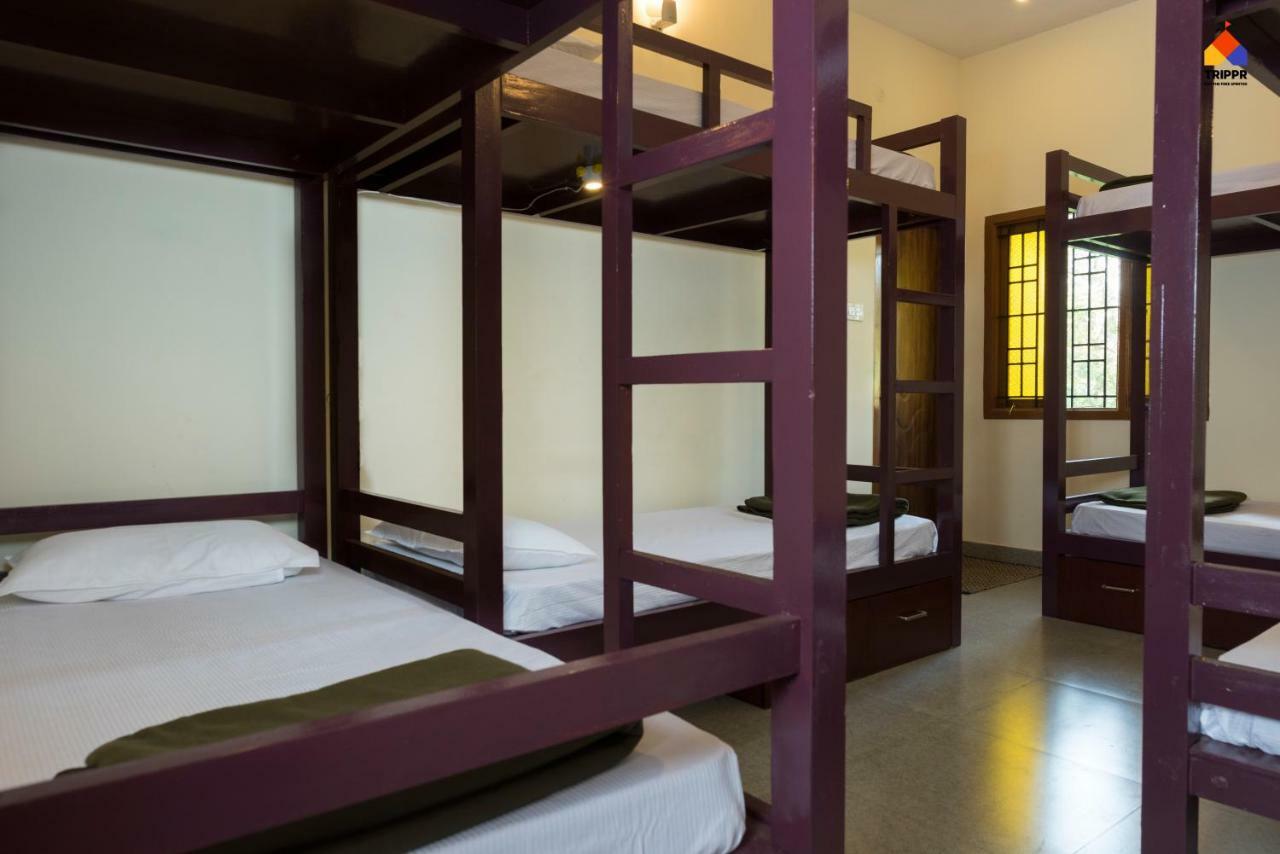 Trippr Kodaikanal Backpacker Hostel Bagian luar foto